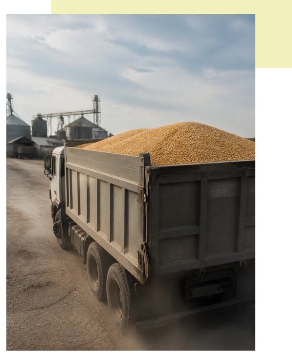 Перевозка сельхозпродукции навалом в Шелехов по цене от 3215 р. | Агросервис-Шлх