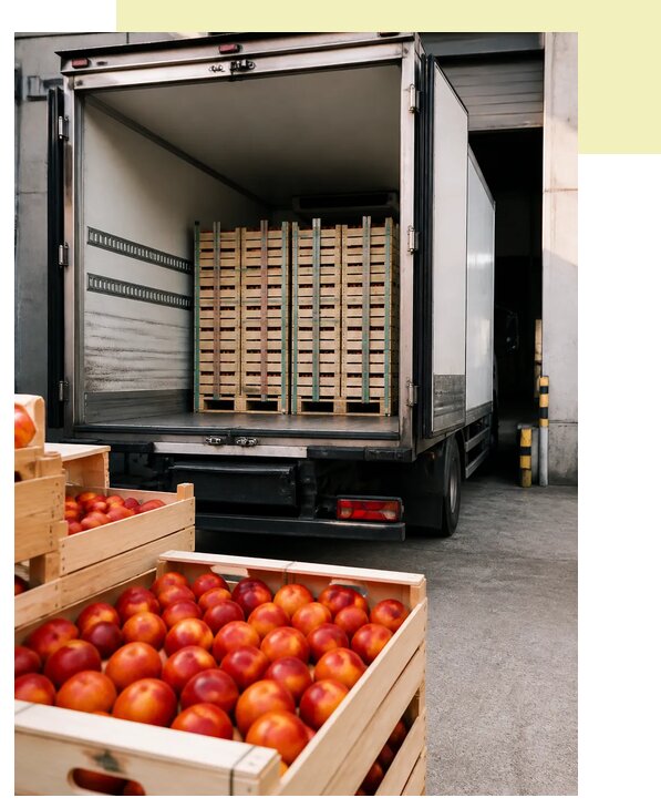 Перевозка нектаринов в Шелехов по цене от 5358 р. | Агросервис-Шлх
