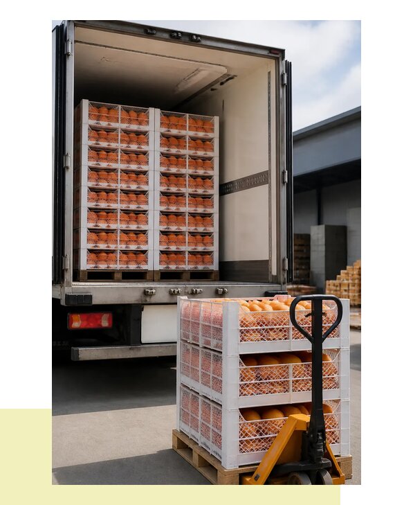 Перевозка грейпфрутов в Шелехов с соблюдением температурного режима